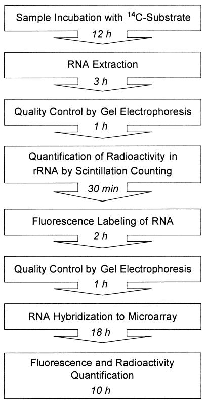 FIG. 7.