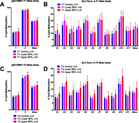 Figures 8A to 8D are bar graphs with standard error of the mean. Figures 8A and 8B plot percentage of CpG methylation in, respectively, Igf2 DMR1 F1 male islets and Esr1 Exon A F1 male islets (y-axis) [Control (n equals 5), Lower BPA (n equals 6), and Upper BPA (n equals 6) for both]. Figures 8C and 8D plot percentage of CpG methylation in, respectively, Igf2 DMR1 F2 male islets and Esr1 Exon A F2 male islets (y-axis) [Control (n equals 5), Lower BPA (n equals 5), and Upper BPA (n equals 5) for both. Double stars are p-values less than 0.05, while single star is p-value greater than 0.05, but less than 0.09. P-Values are relative to Control.