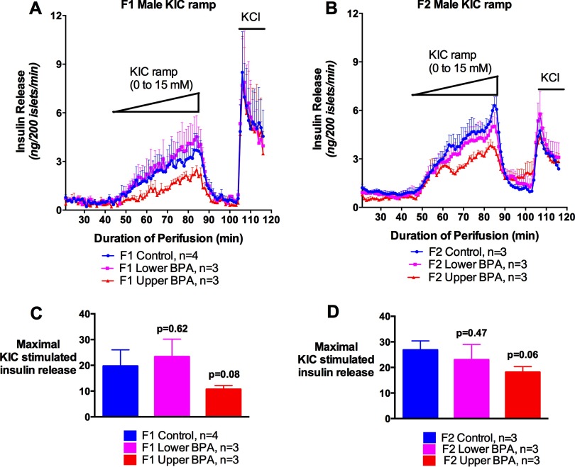 Figures 1A and 1B are line graphs with standard error of the mean plotting KIC ramp. The figures plot insulin release in nanograms per 200 islets per minute (y-axis) across duration of perifusion in minutes (x-axis) in the islets of F1 male mice (0 to 15 millimolar) [Control (n equals 4), Lower BPA (n equals 3), and Upper BPA (n equals 3)] and F2 male mice [Control (n equals 3), Lower BPA (n equals 3), and Upper BPA (n equals 3)], respectively. Figures 1C and 1D are bar graphs with standard error of the mean plotting maximal KIC-stimulated insulin release (y-axis) in islets of F1 mice [Control (n equals 4), Lower BPA (n equals 3, p equals 0.62), and Upper BPA (n equals 3, p equals 0.08)] and F2 mice [Control (n equals 3), Lower BPA (n equals 3, p equals 0.47), and Upper BPA (n equals 3, p equals 0.06)], respectively. p-Values are relative to Control