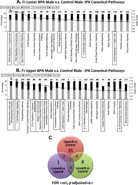 Figure 9A is a bar graph plotting percentage (left y-axis) and changes in the log (p-value) (right y-axis) of genes that are down-regulated, up-regulated, not changed, and do not overlap with the dataset for the following pathways: PKC theta signaling in T lymphocytes (inflammatory pathway), PI3K signaling in B lymphocytes (inflammatory pathway), Type II diabetes mellitus signaling (inflammatory pathway), CD40 signaling, prostate cancer signaling, intrinsic prothrombin activation pathway, sonic hedgehog signaling, neuropathic pain signaling in dorsal horn neurons, NF kappa B signaling (inflammatory pathway), MSP-RON signaling pathway, Her-2 signaling in breast cancer, role of macrophages and fibroblasts in rheumatoid arthritis, T-cell receptor signaling (inflammatory pathway), notch signaling, acute phase response signaling, nitric oxide signaling, netrin signaling, CD28 signaling in T helper cells (inflammatory pathway), TR/RXR activation, and gap junction signaling showing down-regulated change, no change, up-regulated change, and no overlap with dataset (x-axis). Figure 9B plots the same data for the following pathways: branched-chain alpha-keto acid dehydrogenase complex (inflammatory pathway), T cell receptor signaling (inflammatory pathway), adipogenesis pathway, G-protein coupled receptor signaling, CTL4 signaling in cytotoxic T lymphocytes (inflammatory pathway), altered T-cell and B-cell signaling in rheumatoid arthritis (inflammatory pathway), communication between innate and adaptive immune cells (inflammatory pathway), valine degradation I, endoplasmic reticulum stress pathway (inflammatory pathway), CD28 signaling in T helper cells (inflammatory pathway), palmitate biosynthesis I (animals), fatty acid biosynthesis initiation, GDP-L-fructose biosynthesis, IL12 signaling and production in macrophages (inflammatory pathway), cAMP-mediated signaling, neuregulin signaling, antigen presentation pathway (inflammatory pathway), notch signaling, tRNA charging, B-cell activating factor signaling (inflammatory pathway), and mitochondrial dysfunction (inflammatory pathway). Figure 9C is a Venn diagram with three circles labeled UpperB versus Control, 35; LowerB versus Control, 8; and LowerB versus UpperB, 1. The intersection of all the three circles is labeled 1. The intersection of UpperB versus Control and LowerB versus Control is 0. The intersection of LowerB versus Control and LowerB versus UpperB is 0. The intersection of UpperB versus Control and LowerB versus UpperB is 2.