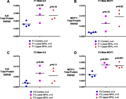 Figures 6A and 6C plot IL6 per total protein in picograms per microgram (y-axis) for the IL6 in F1 male mice: [Control (n equals 4), Lower BPA (n equals 3, p equals 0.09), and Upper BPA (n equals 3, p equals 0.10)] and IL6 in F2 male mice [Control (n equals 4), Lower BPA (n equals 3, p equals 0.08), and Upper BPA (n equals 3, p equals 0.11)]. Figures 6B and 6D plot MCP1 per total protein in pictograms per microgram for MCP1 in F1 male mice (Figure 6B) [Control (n equals 4), Lower BPA (n equals 3, p equals 0.16), and Upper BPA (n equals 3, p equals 0.02)] and MCP1 in F2 male mice (Figure 6D) [Control (n equals 4), Lower BPA (n equals 3, p equals 0.001), and Upper BPA (n equals 3, p equals 0.001)]. p-Values are relative to Control.