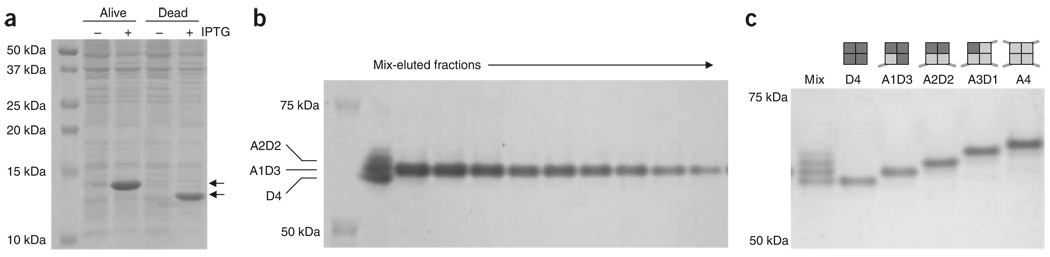 Figure 4