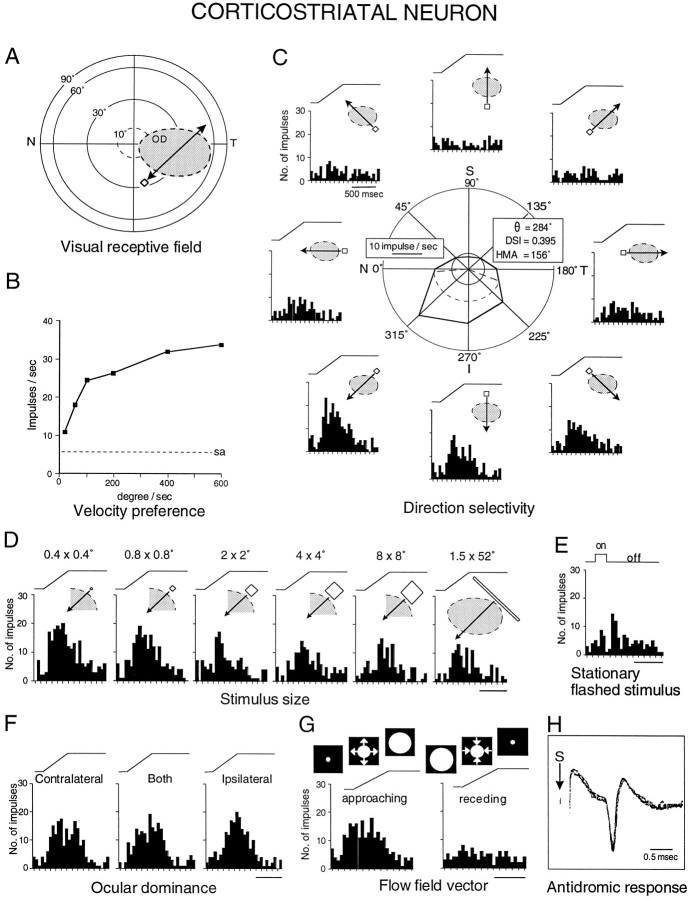 Fig. 12.