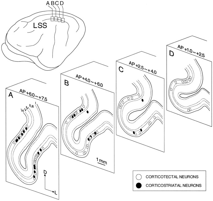 Fig. 2.