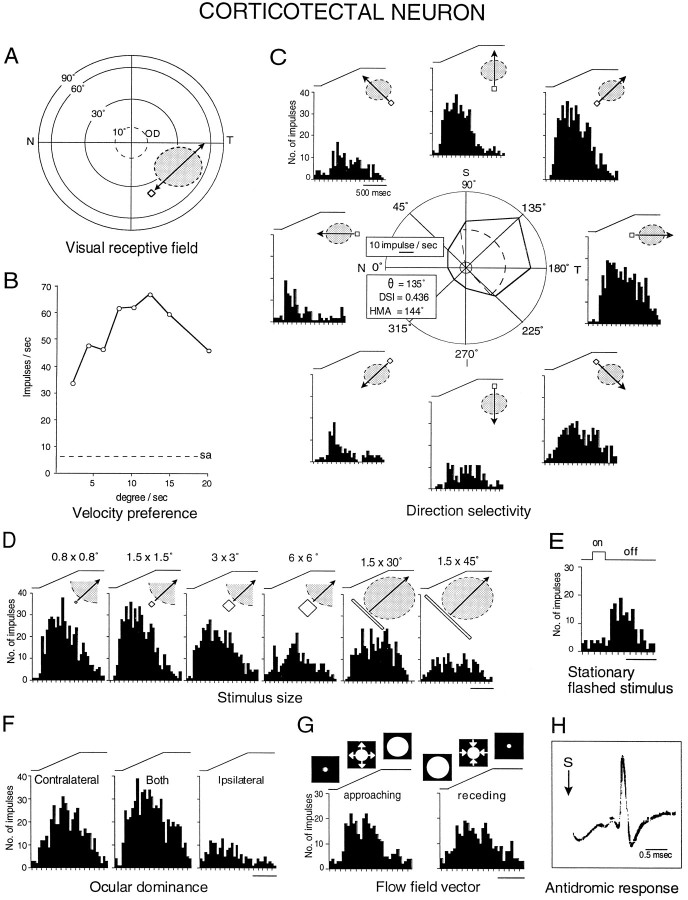 Fig. 11.