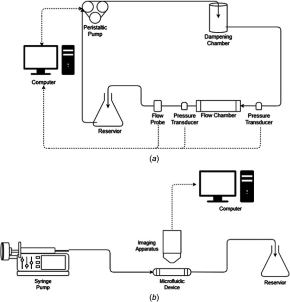 Process flow diagrams of fluid driving systems. (a) Process flow diagram for systems utilizing a peristaltic pump. Typically, fluid flow is driven from a reservoir by the pump. As the fluid exits the pump, it enters a dampening chamber, which minimizes pulsatile effects generated by the peristaltic pump. The fluid then flows through the flow chamber back to the reservoir, completing the flow system. Flow rate is monitored by a computer through a flow probe located downstream of the chamber. Pressure transducers can also be placed on either side of the flow chamber to monitor the pressure drop across the device. If changes are needed to the required flow rate, the computer will alter the angular velocity of the pump's rotor to produce the desired flow profile and shear stress for the study. (b) Process flow diagram of systems utilizing a syringe pump. Typically, a syringe loaded with fluid is mounted on a pump motor. The motor then pushes fluid from the syringe by a speed previously designated by the user. The fluid flows through the microfluidic device and into a discard reservoir. Real time imaging over the length of the study is collected by an imaging apparatus and is recorded by a computer.