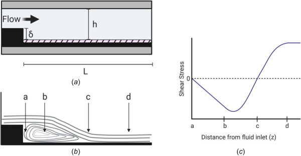 Characterization of the vertical backward-facing step PPFC modification. (a) Schematic diagram of the vertical backward-facing step modification where δ is the vertical height of the step, h is the total height between plates, and L is the total length distal to the step. (b) Schematic of the flow patterns induced by the vertical backward-facing step. Distal to the step, four regions along the length of the chamber are formed: a, the stagnant area with impinging flow; b, the laminar recirculation eddy; c, the flow reattachment point; and d, fully developed laminar flow. (c) Wall shear stress characterization in each of the four regions along the lower plate of the chamber. No shear stress occurs within the stagnation area or reattachment point. Negative values correspond to fluid flowing back toward the step within the recirculation eddy in the retrograde direction.