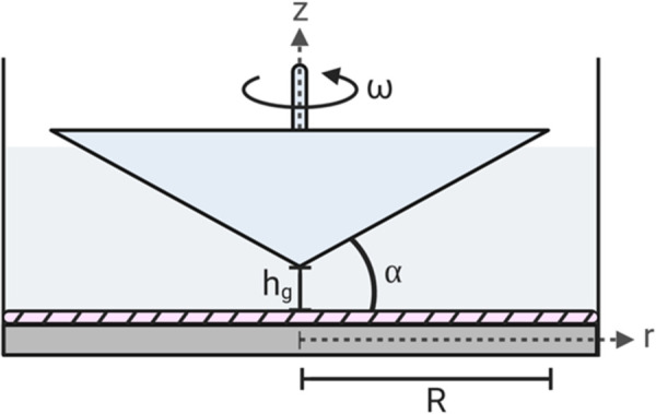 Schematic diagram of a cone-and-plate device depicting the flow domain and critical design parameters. The hatched region is the endothelial monolayer. As shown, α is the angle between the cone's surface and bottom plate, ω is the angular velocity of the cone, hg is the height gap, R is the total radius of the cone, r is the radial distance from the apex of the cone, and z is the coordinate orthogonal to the bottom plate, typically the cone's axis.