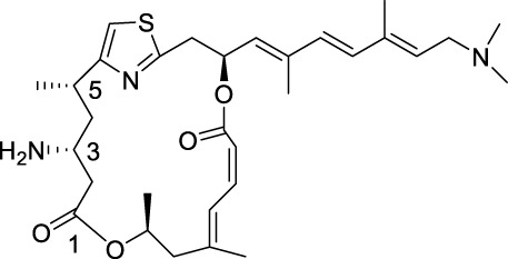 graphic file with name FMOLB_fmolb-2023-1289650_wc_tfx3.jpg