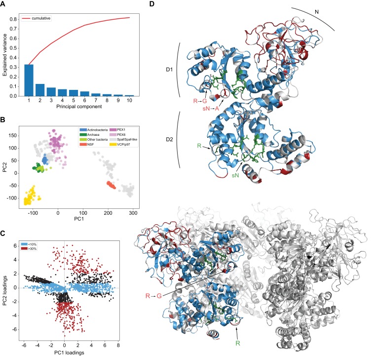 Figure 1—figure supplement 1.