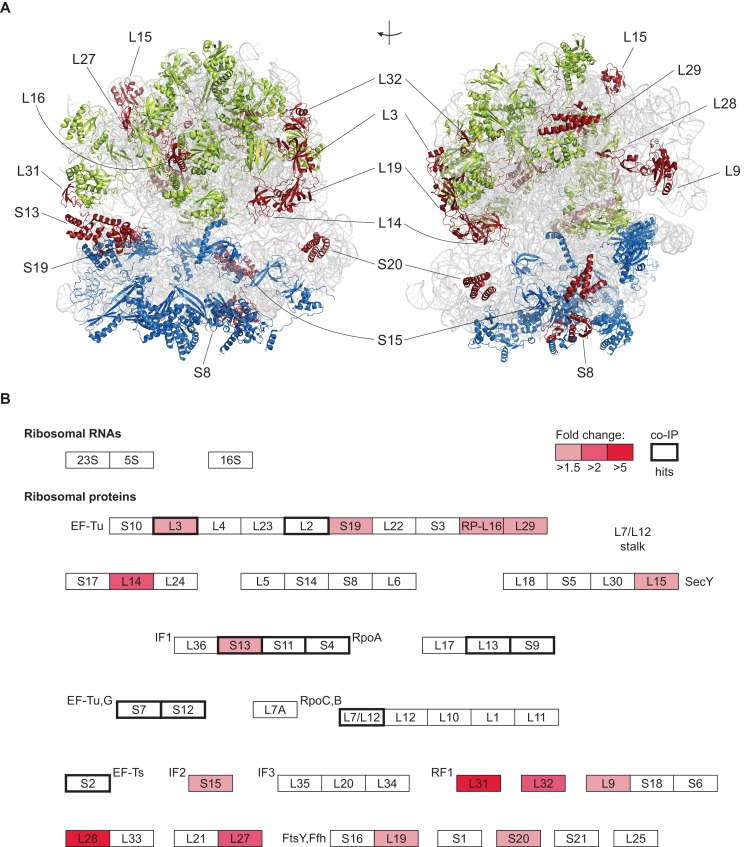 Figure 9—figure supplement 2.