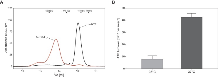 Figure 2—figure supplement 2.