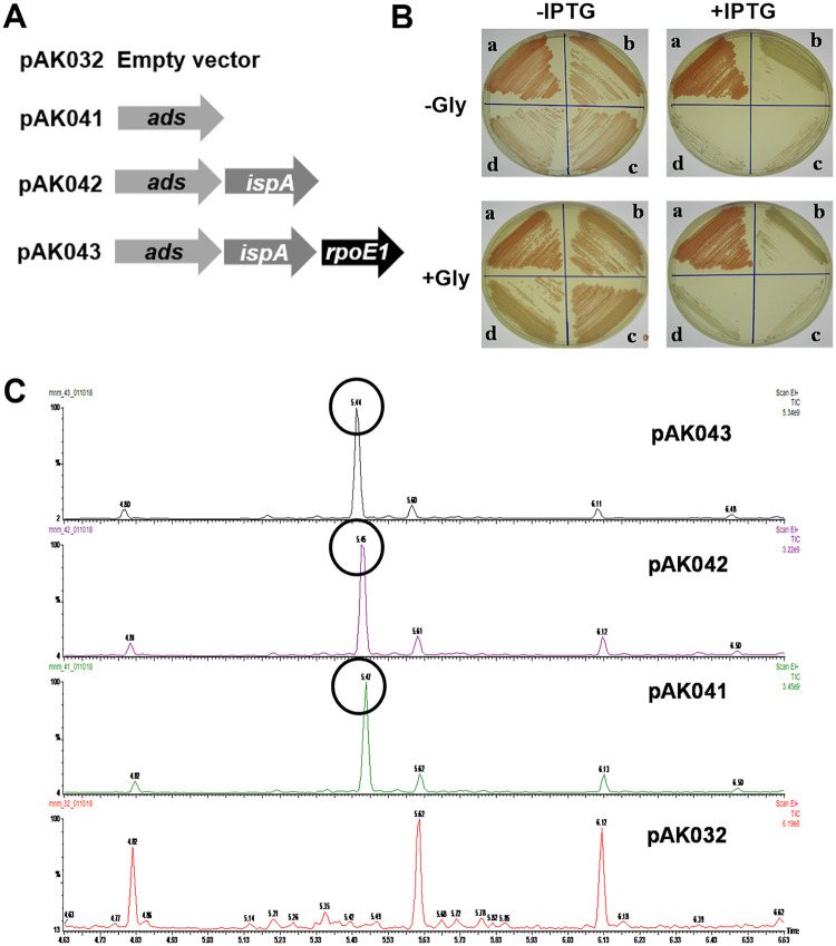 FIG 5