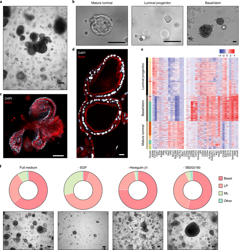 Fig. 6 |