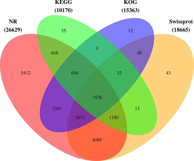 Fig 2