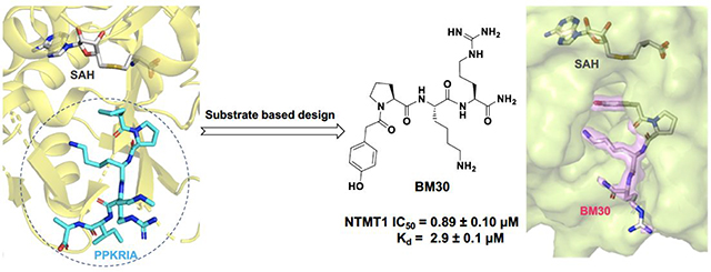 graphic file with name nihms-1613699-f0008.jpg