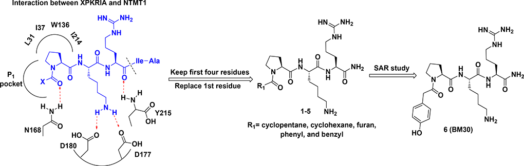 Figure 1.