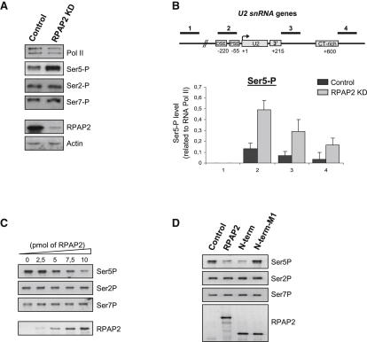 Figure 6