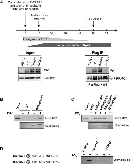 Figure 4