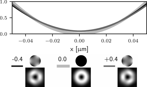 Fig. 2(d)