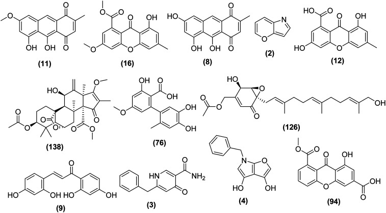 Fig. 5