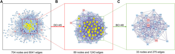 FIGURE 5