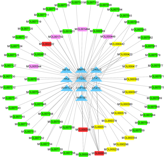 FIGURE 4