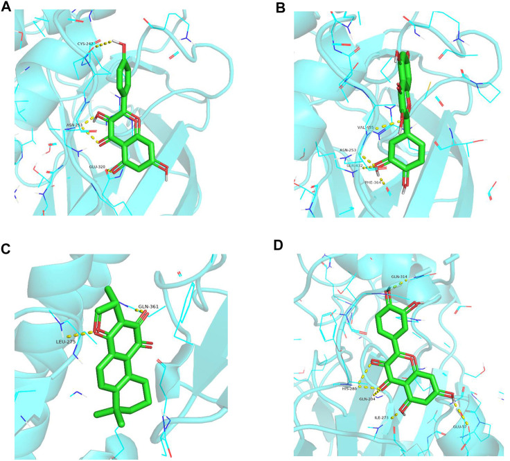 FIGURE 9