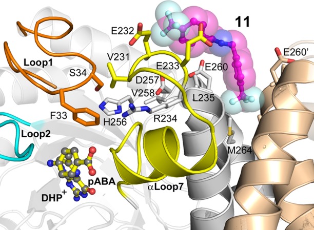 Figure 7