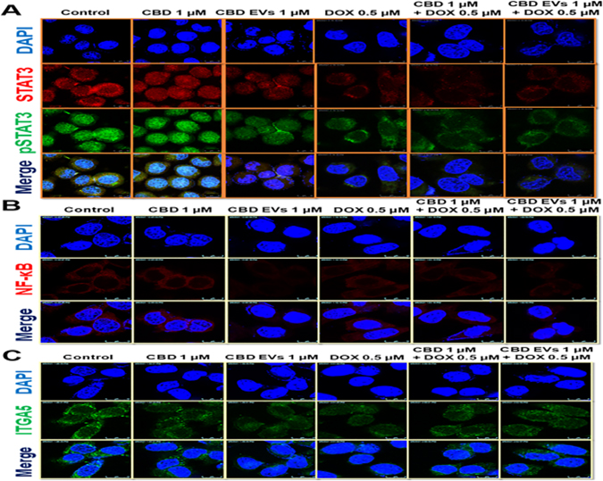 Figure 4: