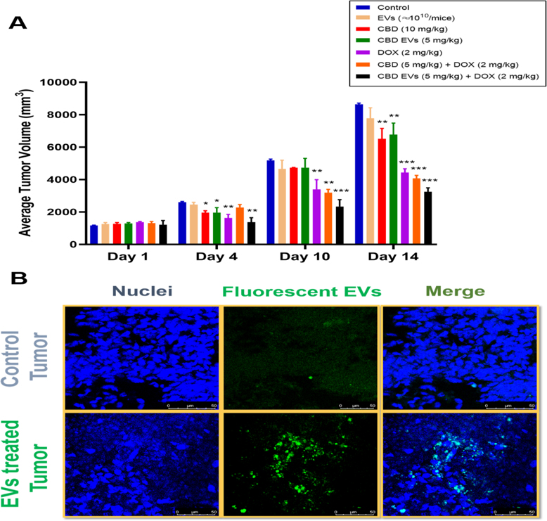 Figure 6: