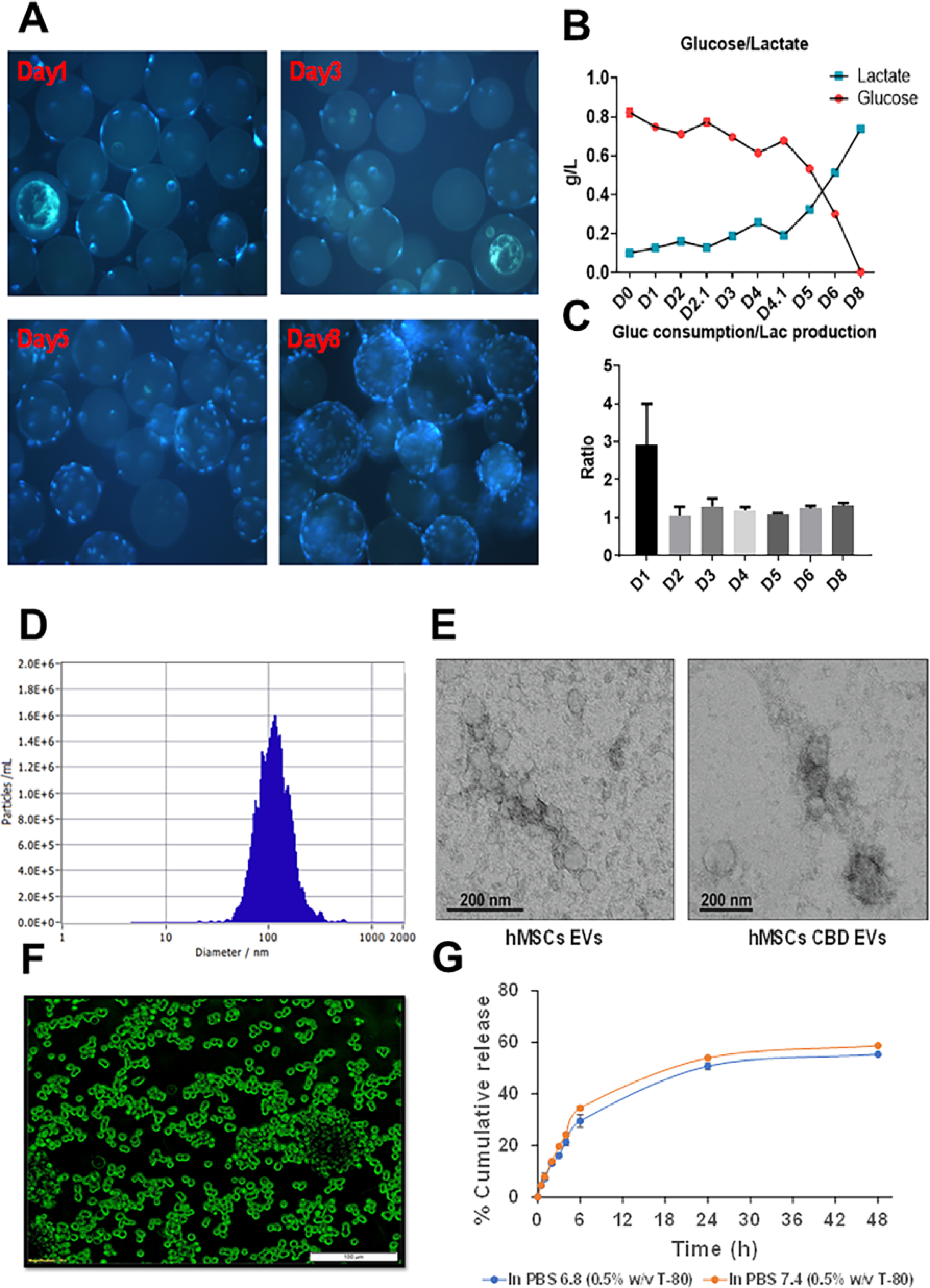 Figure 2: