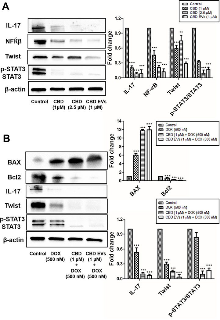 Figure 5: