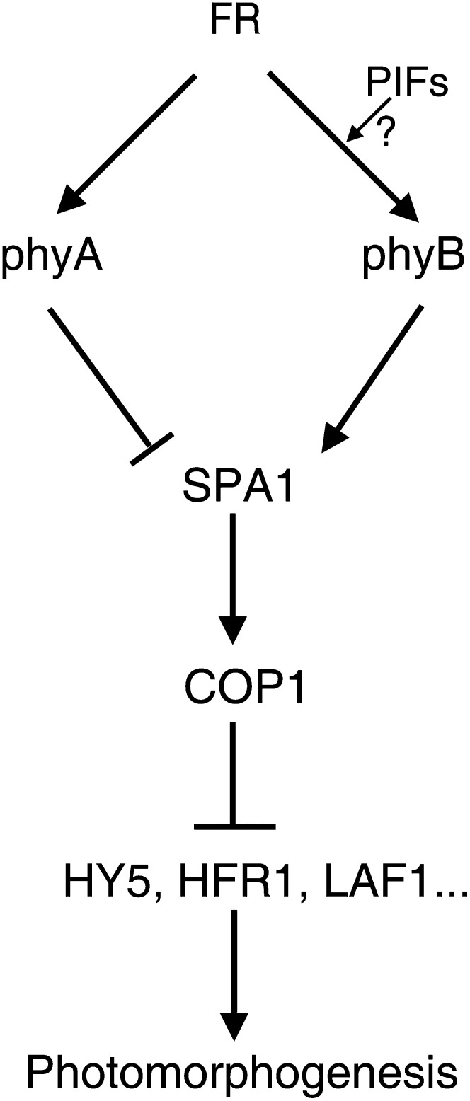 Figure 10.