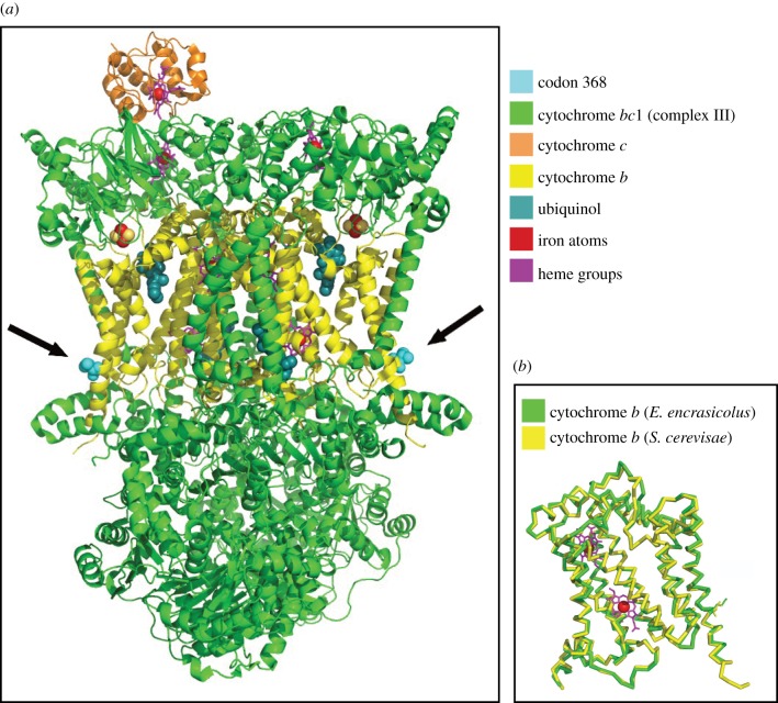 Figure 3.