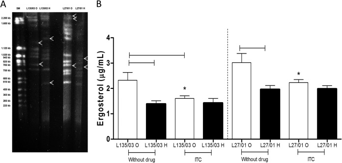 FIG 3