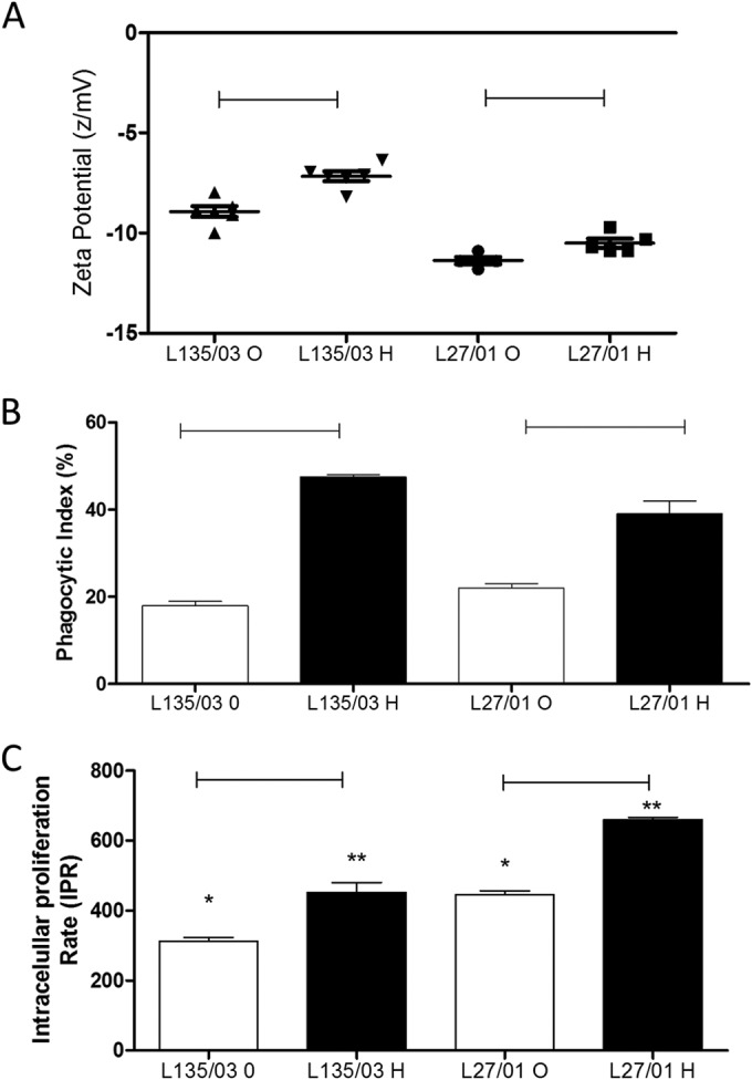 FIG 4