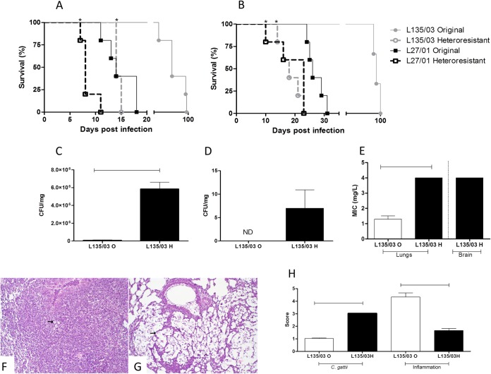 FIG 6