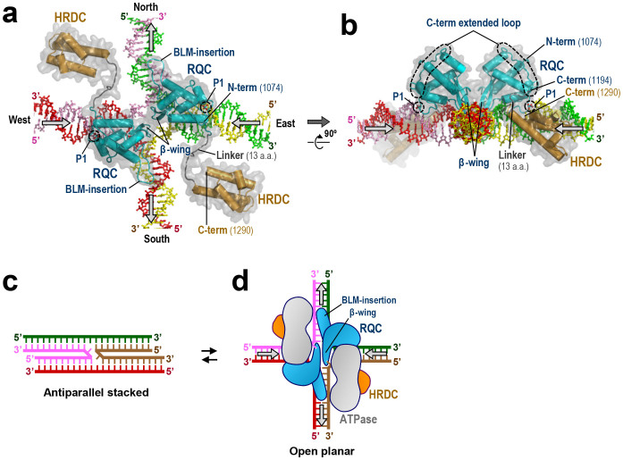 Figure 6