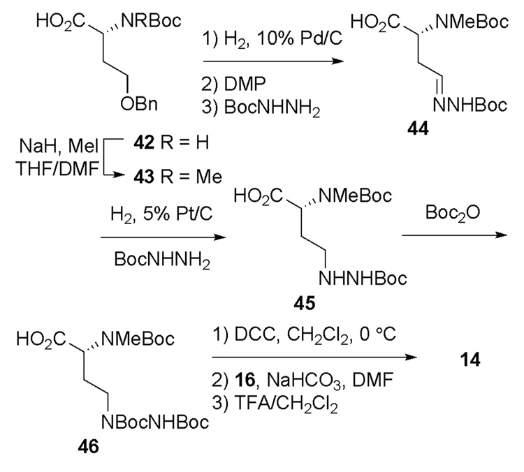 Scheme 5