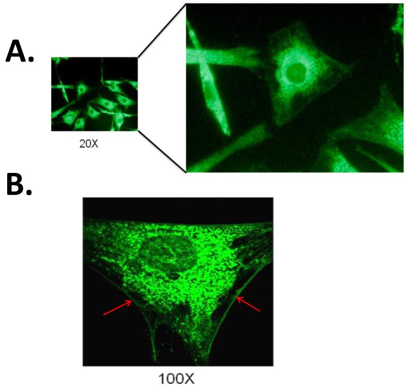 Figure1