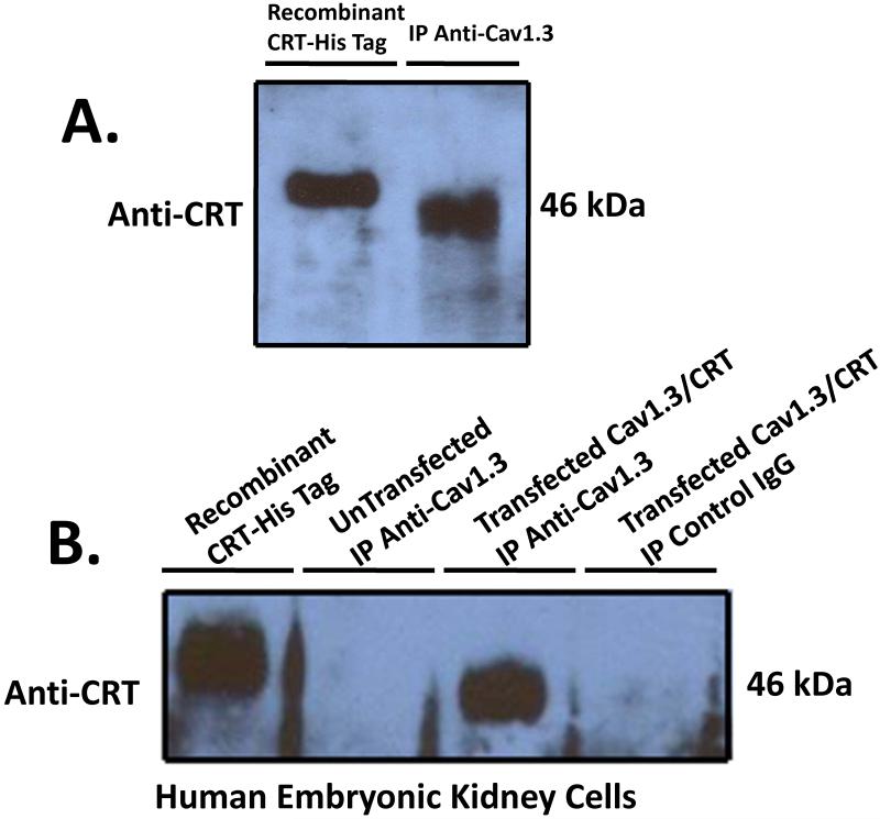 Figure2