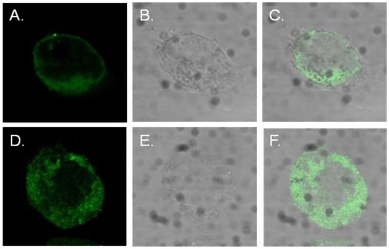 Figure3