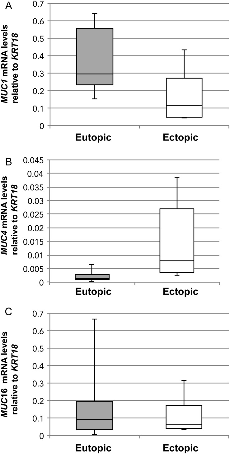 Figure 5