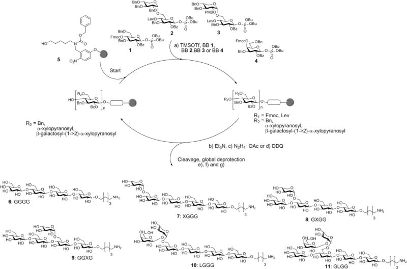 Scheme 1