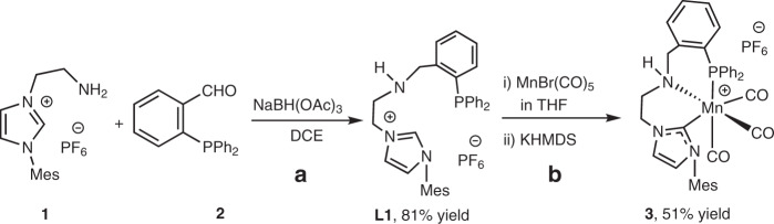 Fig. 2