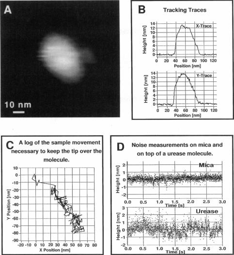 FIGURE 4