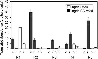 Figure 5.