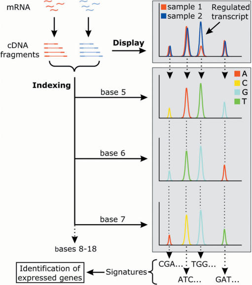 Figure 1.