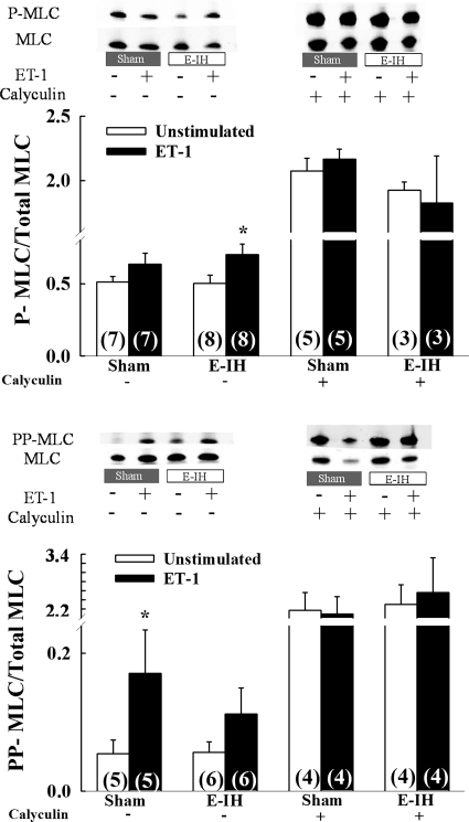 Fig. 8.